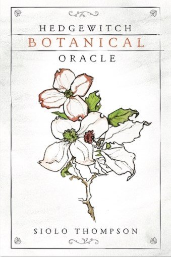 オラクルカード Llewellyn 正規販売店 ヘッジウィッチ ボタニカル オラクル Hedgewitch Botanical Oracle 占い
