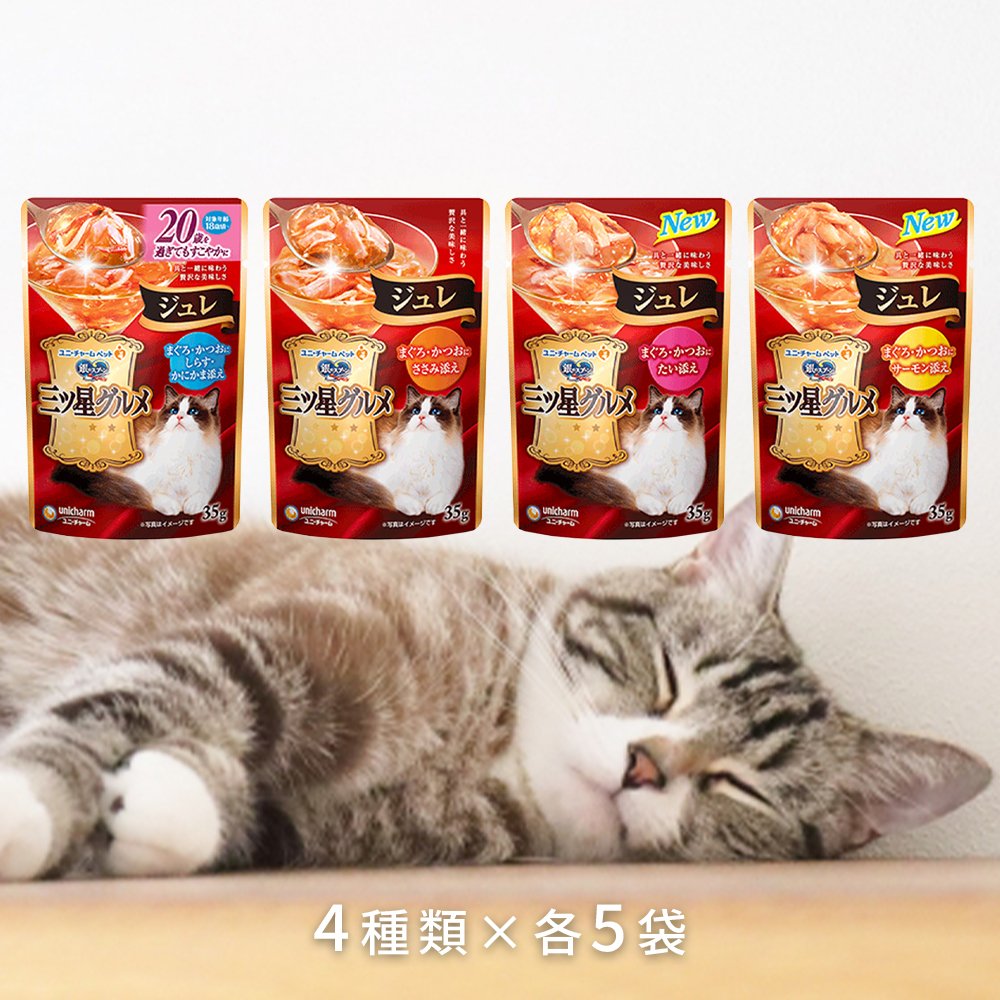 原材料・成分：商品画像参照 使用方法 香りまで贅沢な、お魚の美味しさが詰まったキャットフード（ウエットタイプ）。 「主な仕様」 【 4種類 × 各5袋 (計20袋)】銀のスプーン 三ツ星グルメ パウチ