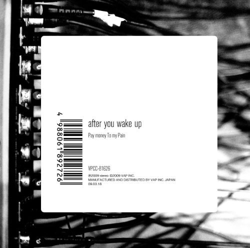 【レンタル落ち】after you wake up [CD] Pay money to my pain(P.T.P)
