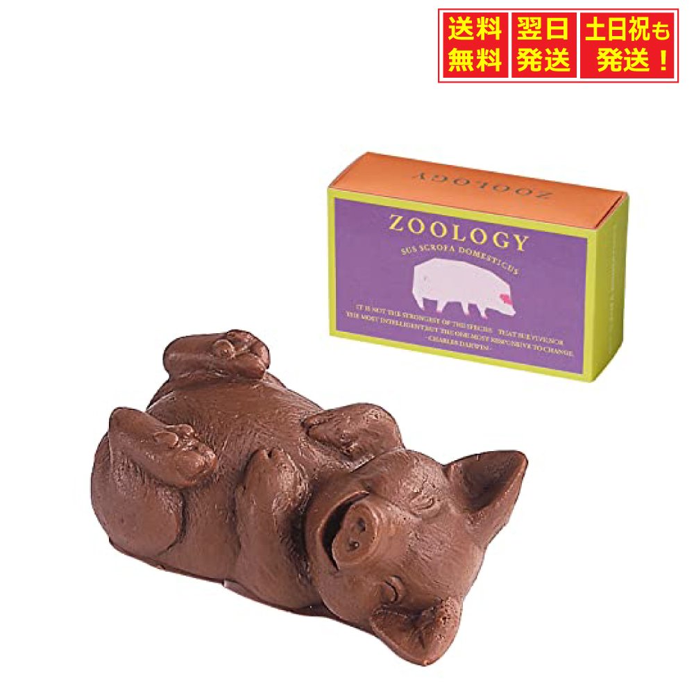 ZOOLOGY（ズーロジー） チョコレート コブタ